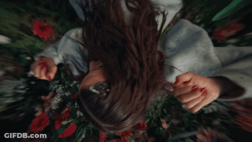 Woman Laying In Flowers Man Holding Her Hand GIF