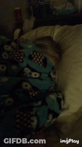 Woman Laying On Bed With Pillow And Blanket On Face GIF