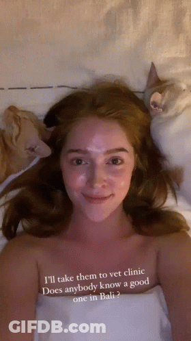 Woman Laying On Bed With Two Cats Saying I'll Take Them To Vet Clinic GIF