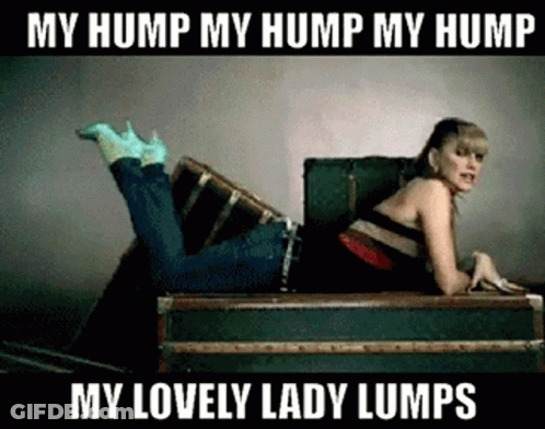 Woman Laying On Suitcase My Lovely Lady Lumps GIF