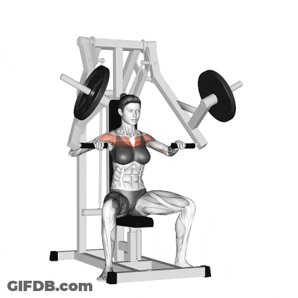 Woman Lifting Barbell Over Shoulders On Machine GIF