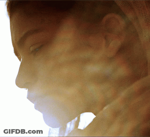 Woman Lifting Barbell We Are Working Out Today GIF