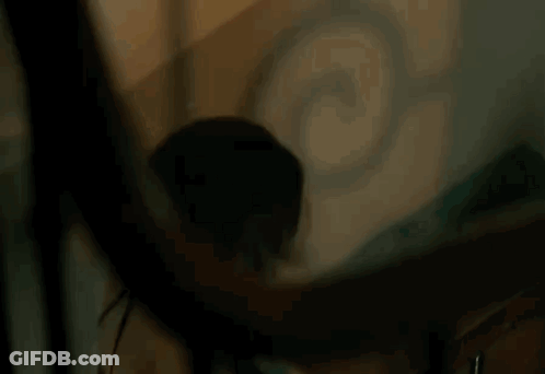 Woman Looking At Herself In Mirror GIF