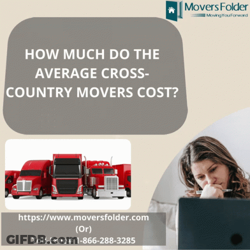Woman Looking At Laptop For Movers Folder GIF