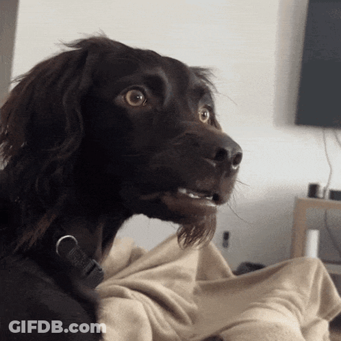 Woman Looking At Mirror GIF