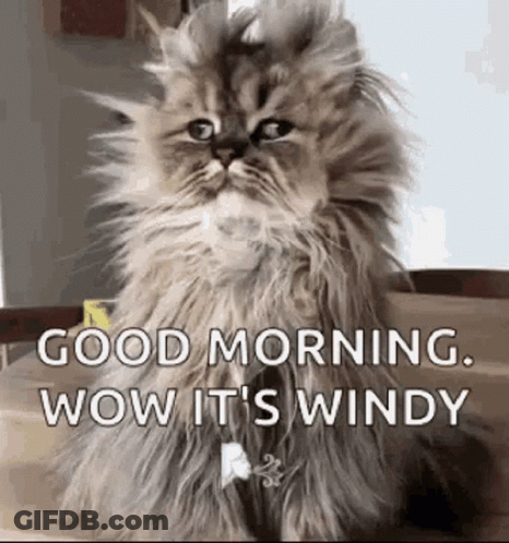 Woman Looking At Wind GIF