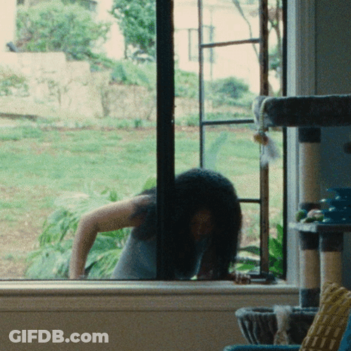 Woman Looking Out Window With Cat Tree GIF