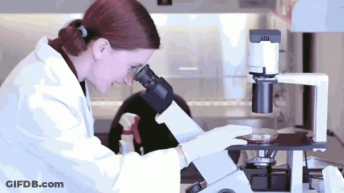 Woman Looking Through Microscope In Lab GIF