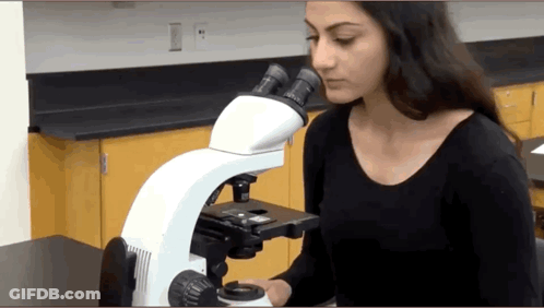 Woman Looking Through Microscope In Lab GIF