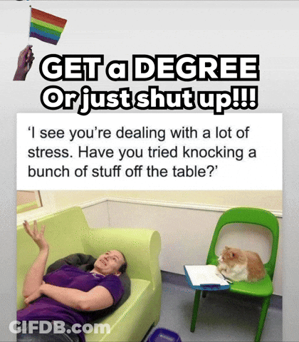 Woman Lying On Couch Get A Degree Or Shut Up GIF