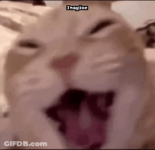 Woman Lying On Couch Next To Dog Story Of My Life GIF