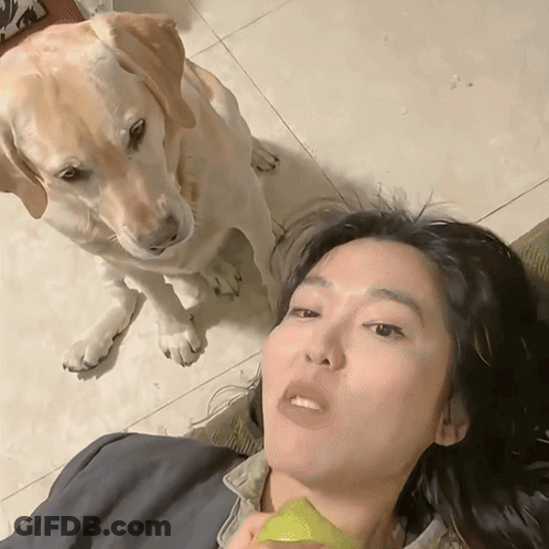 Woman Lying On Floor Dog Looking GIF