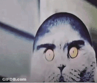 Woman Making Funny Face With Momento Logo GIF