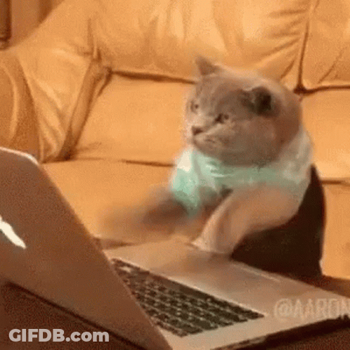 Woman Making Funny Face With Tongue Out GIF