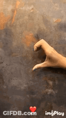 Woman Making Heart Shape With Fingers GIF