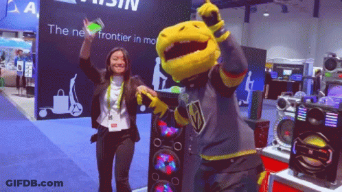 Woman Next To Mascot In Golden Knights Jersey GIF