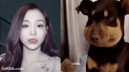 Woman Next To Realistic Stuffed Dog GIF