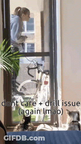 Woman On Balcony Talking On Cell Phone With Bicycle GIF