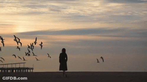 Woman On Beach With Birds Flying GIF