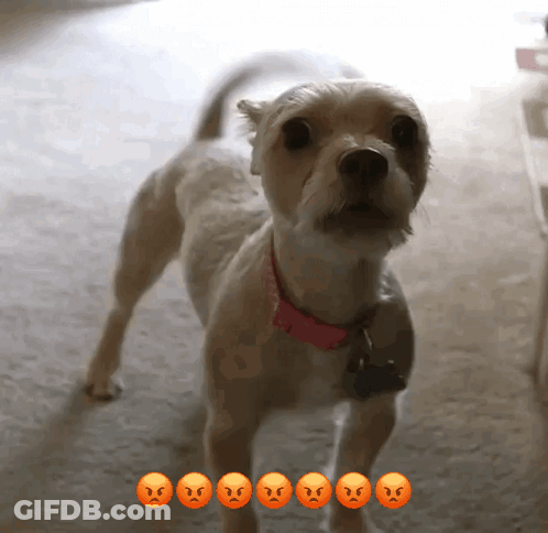 Woman On Coffee Cup Good Morning Bestie GIF