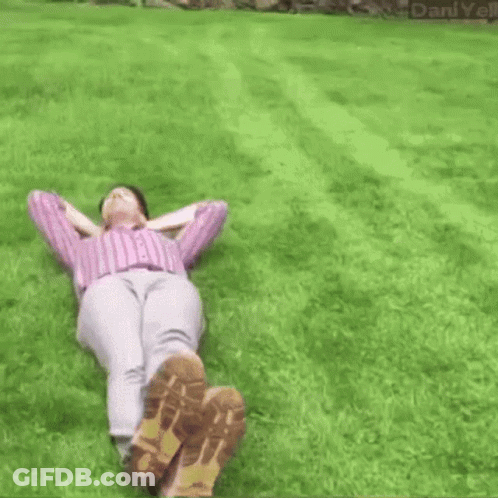 Woman On Grass With Pink Car And Daniyell GIF
