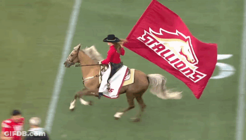 Woman On Horse Holding Red Falcons Flag GIF