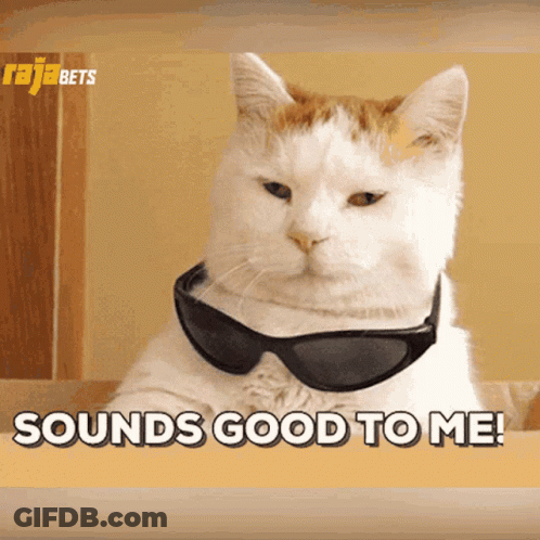 Woman On Phone Saying I Like The Sound Of That GIF