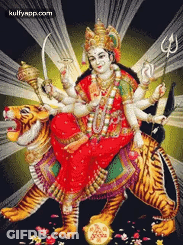Woman On Tiger With Kulfyapp.com GIF