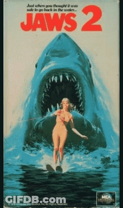 Woman On Wakeboard Attacked By Shark GIF