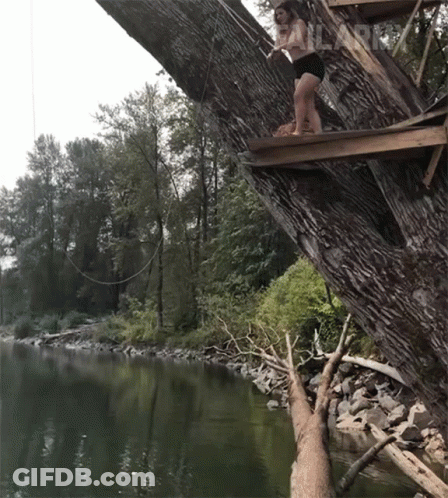 Woman On Wooden Platform In Tree Overlooking Water With Failard GIF