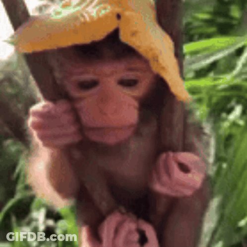 Woman Peeking From Behind Wooden Wall Smiling GIF