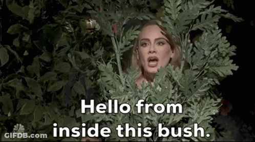 Woman Peeking Out Of Bush Saying Hello GIF