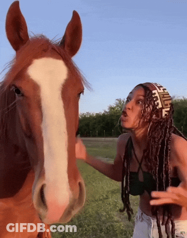 Woman Petting Brown Horse With Fendi Scarf GIF