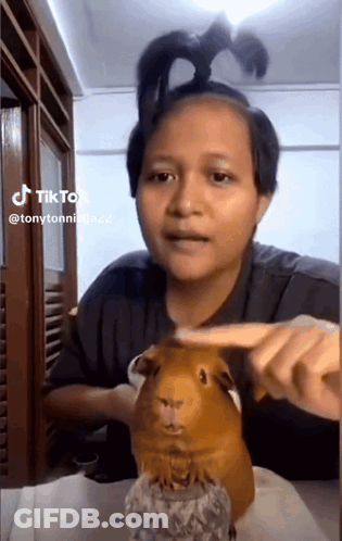 Woman Petting Guinea Pig Wearing Ponytail GIF