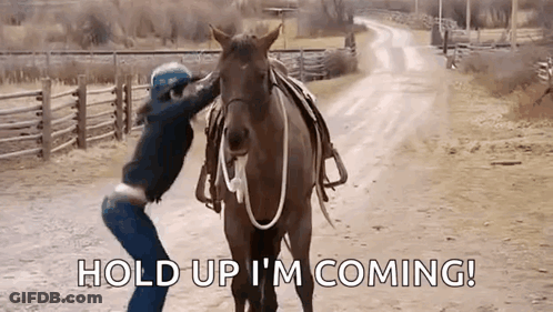 Woman Petting Horse On Dirt Road GIF