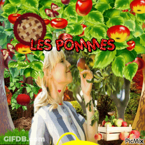Woman Picking Apples Les Pommes GIF