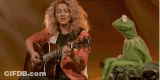 Woman Playing Guitar Next To Kermit The Frog On Rock GIF