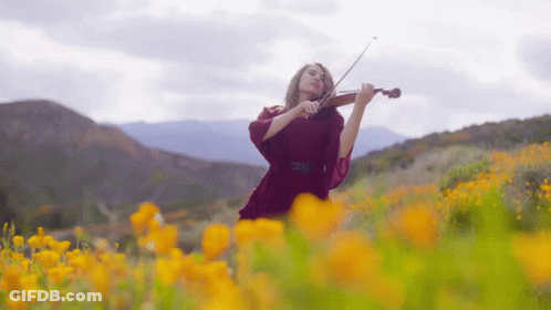 Woman Playing Violin In Field Of Flowers GIF