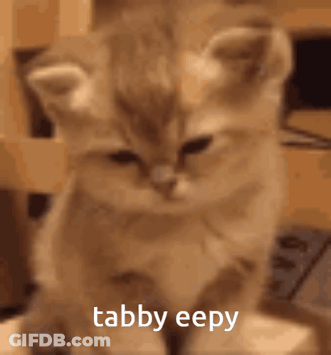 Woman Playing Violin Sakura Can't Sing GIF
