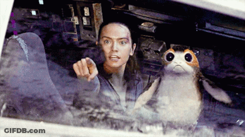 Woman Pointing At Stuffed Animal GIF