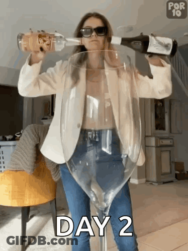 Woman Pouring Wine Into Large Glass Day 2 GIF