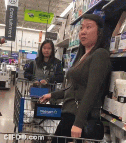 Woman Pushing Shopping Cart In Walmart Aisle GIF