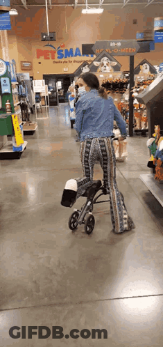 Woman Pushing Shopping Cart GIF