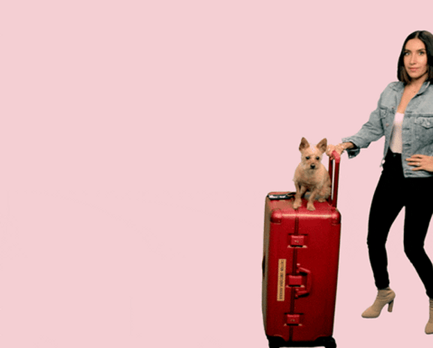 Woman Pushing Travel Luggage GIF