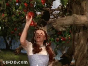 Woman Reaching For Apple From Tree GIF