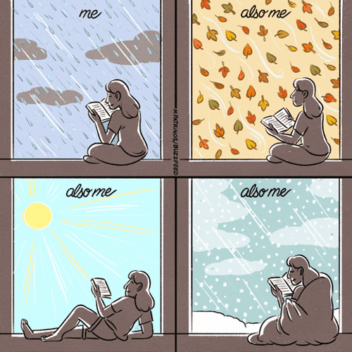Woman Reading Book Different Season GIF