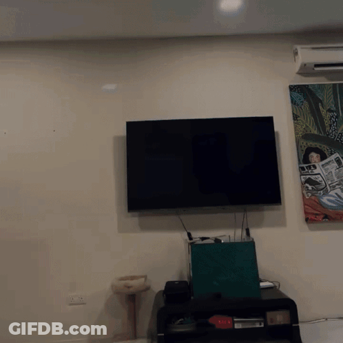 Woman Reading Newspaper Above TV GIF