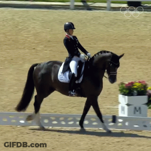 Woman Riding Black Horse Beside Box With Letter M GIF