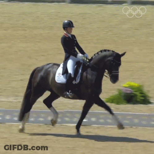 Woman Riding Black Horse With Olympic Rings GIF