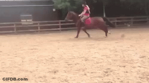 Woman Riding Brown Horse GIF